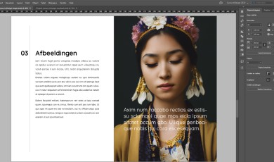 Adobe InDesign QuickStart