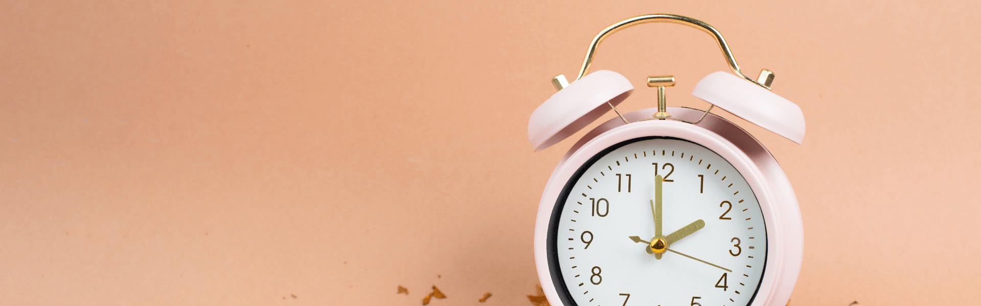 Duurzame inzetbaarheidsuren (DI-uren)